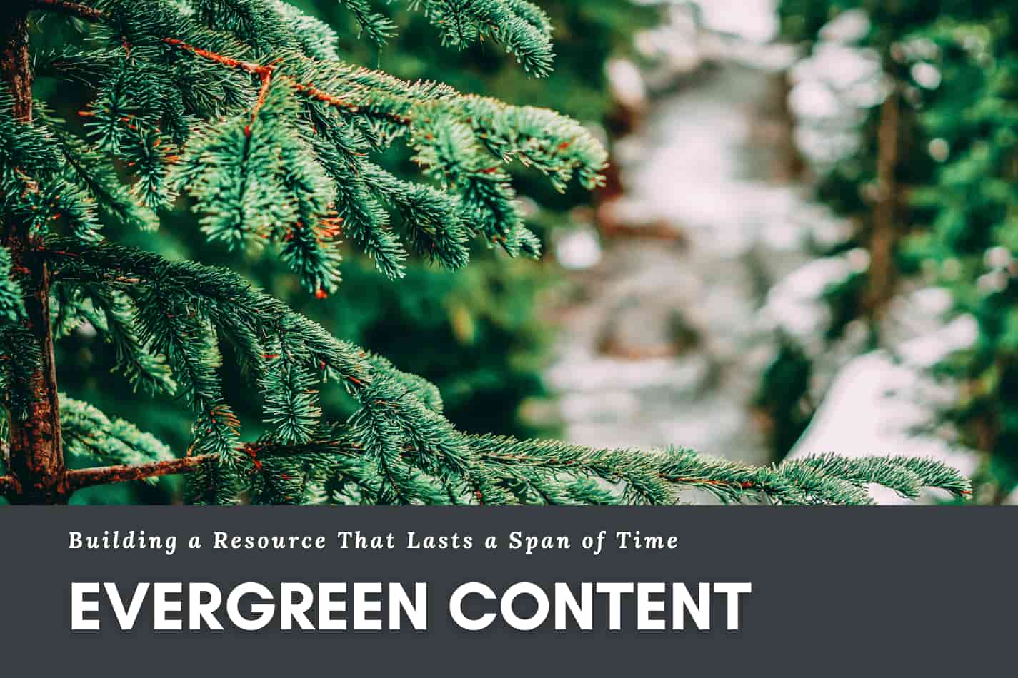 Evergreen Content: What It Means and How to Create it